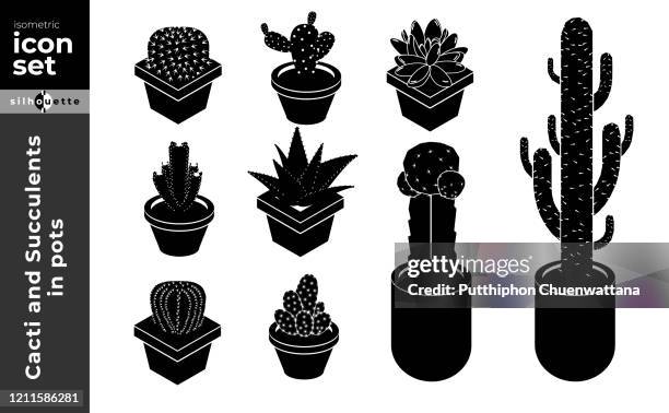 cactus and succulents isometric icon illustrations on white background. silhouette style. vector stock illustration. - dried flower stock illustrations