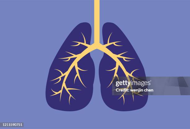 lung ct stock illustration - ct scanner stock illustrations