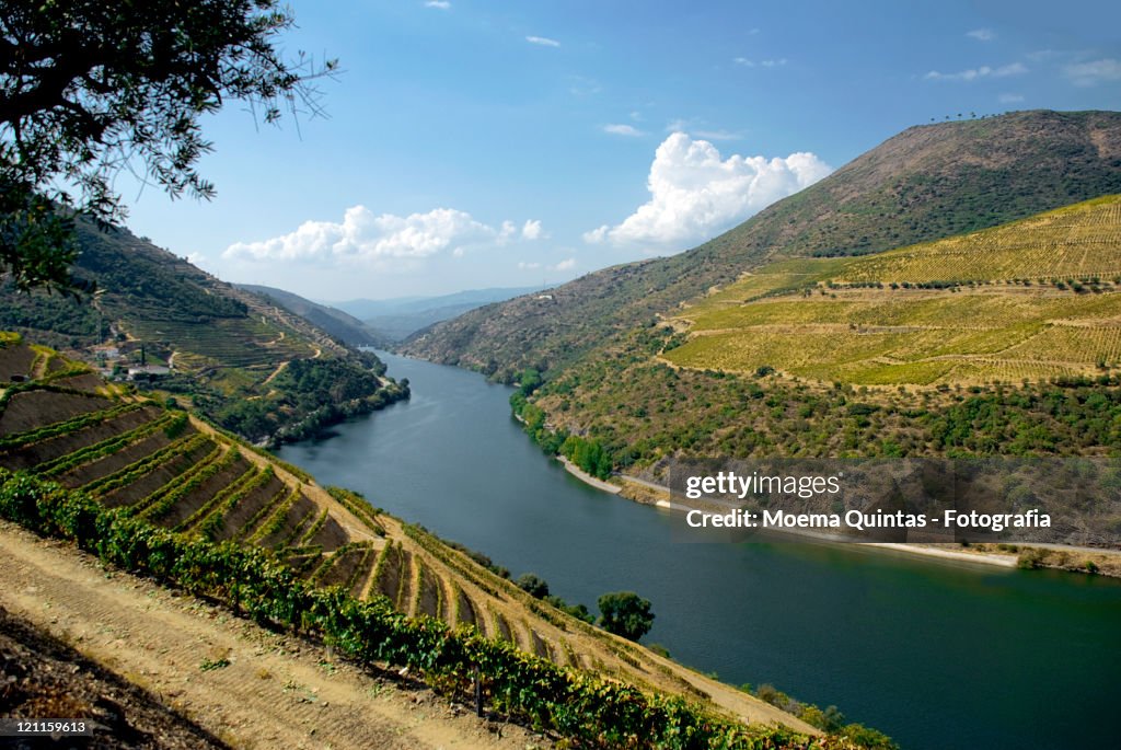 Douro valley