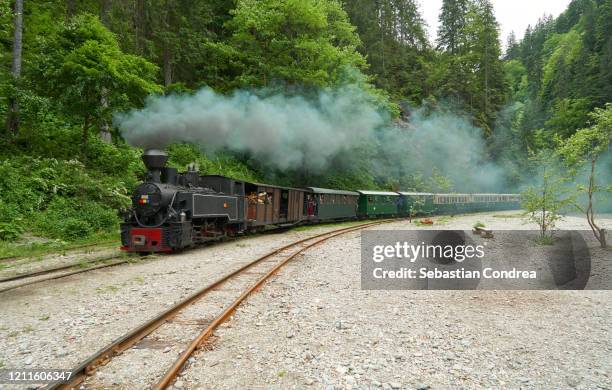 steam train "mocanita" going into the carpathian mountains in romania. - steam train stockfoto's en -beelden