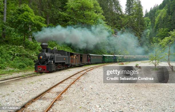 steam train "mocanita" going into the carpathian mountains in romania. - history and progress of the steam engine stock pictures, royalty-free photos & images