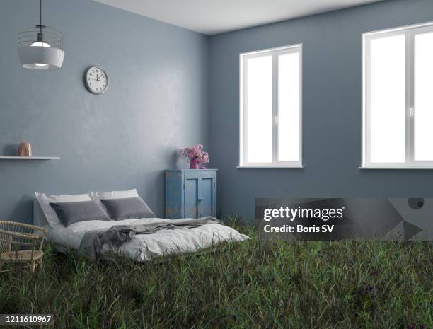 wild lawn in a bedroom - bedroom wall stockfoto's en -beelden