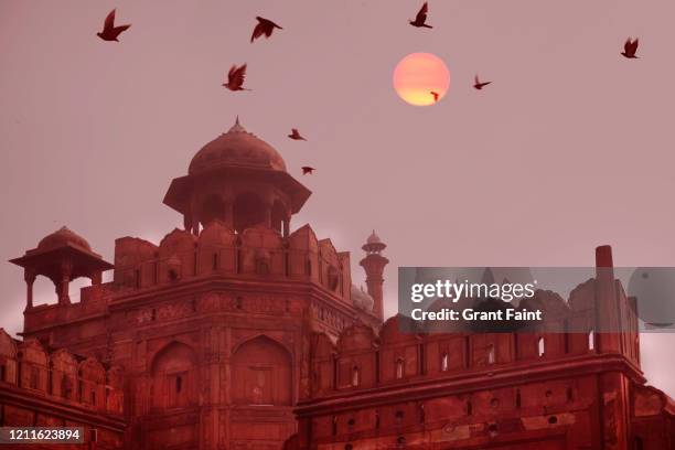 view of birds in flight over fortress. - red fort delhi stock pictures, royalty-free photos & images