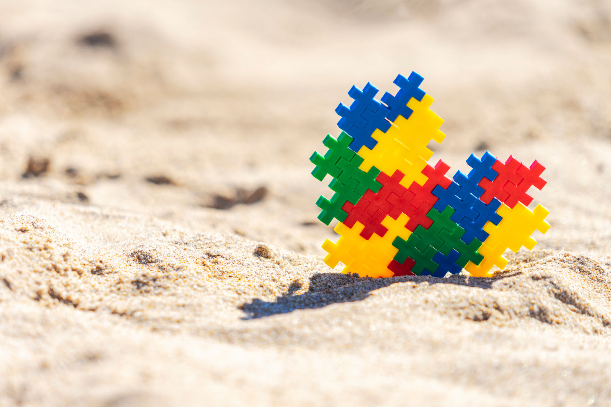 autism holiday
