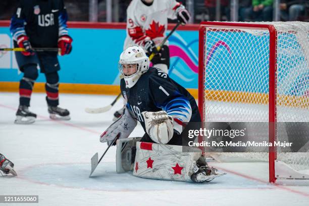 Goalkeeper Dylan Silverstein of United States in action during Men's 6-Team Tournament Semifinals Game between United States and Canada of the...