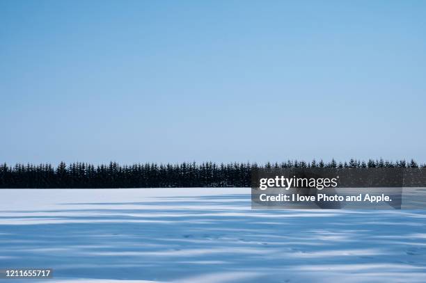 sunny day in hokkaido - snowfield stock pictures, royalty-free photos & images