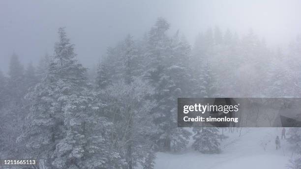 high angle view of nagoya on a snowy day - mt dew stock pictures, royalty-free photos & images