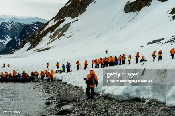 Tourists landing at the Gentoo penguin colony on Cuverville Island in the Antarctic Peninsula region.