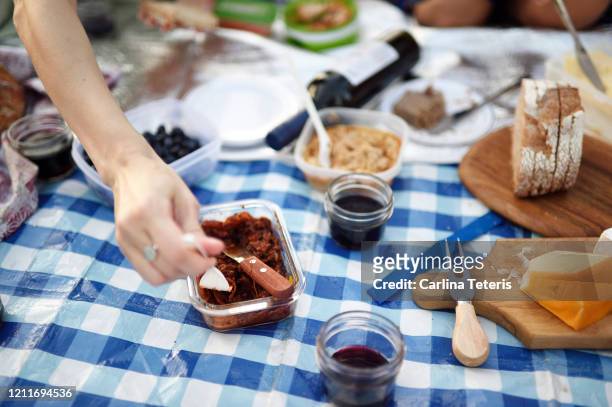 hands reaching for food at a picnic - lunch cheese imagens e fotografias de stock