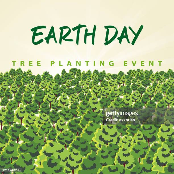 earth day tree planting event - reforestation stock-grafiken, -clipart, -cartoons und -symbole