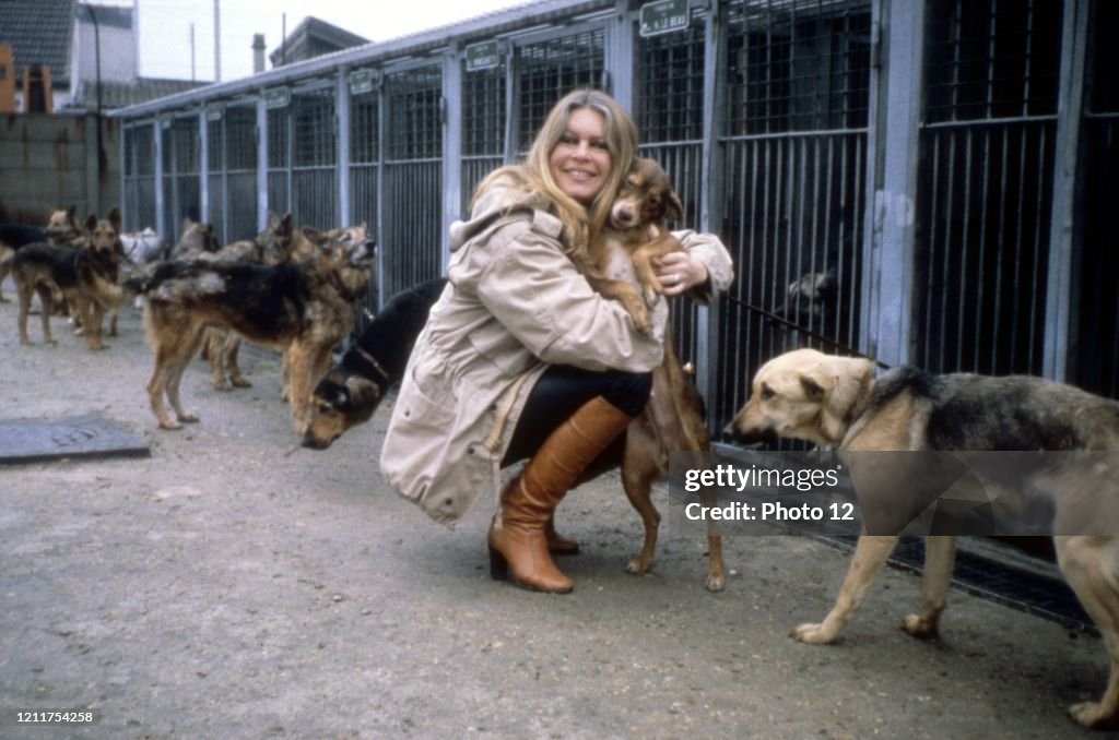 Brigitte Bardot at the SPA refuge in Gennevilliers in 1986. . News Photo - Getty Images