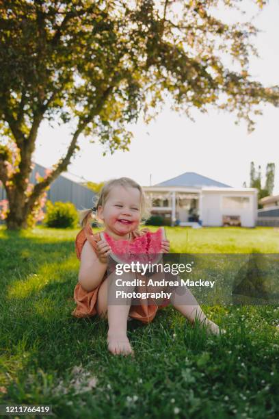 toddler girl eating watermelon - indoor picnic stock pictures, royalty-free photos & images