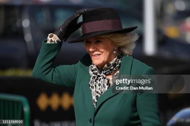 Camilla, Duchess of Cornwall arrives for ladies day at Cheltenham Racecourse on March 11, 2020 in Cheltenham, England.