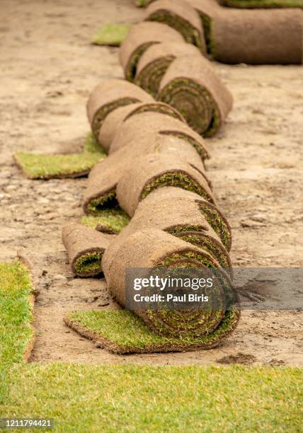 natural grass carpets rolled out in the garden - anbau von rasen stock-fotos und bilder