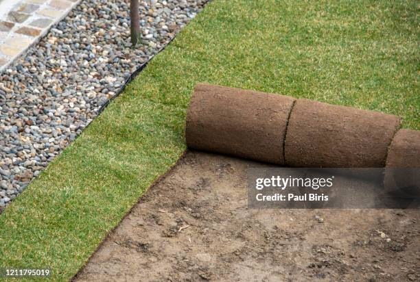 fresh grass roll out in the garden to make new lawn - turf installation stock pictures, royalty-free photos & images