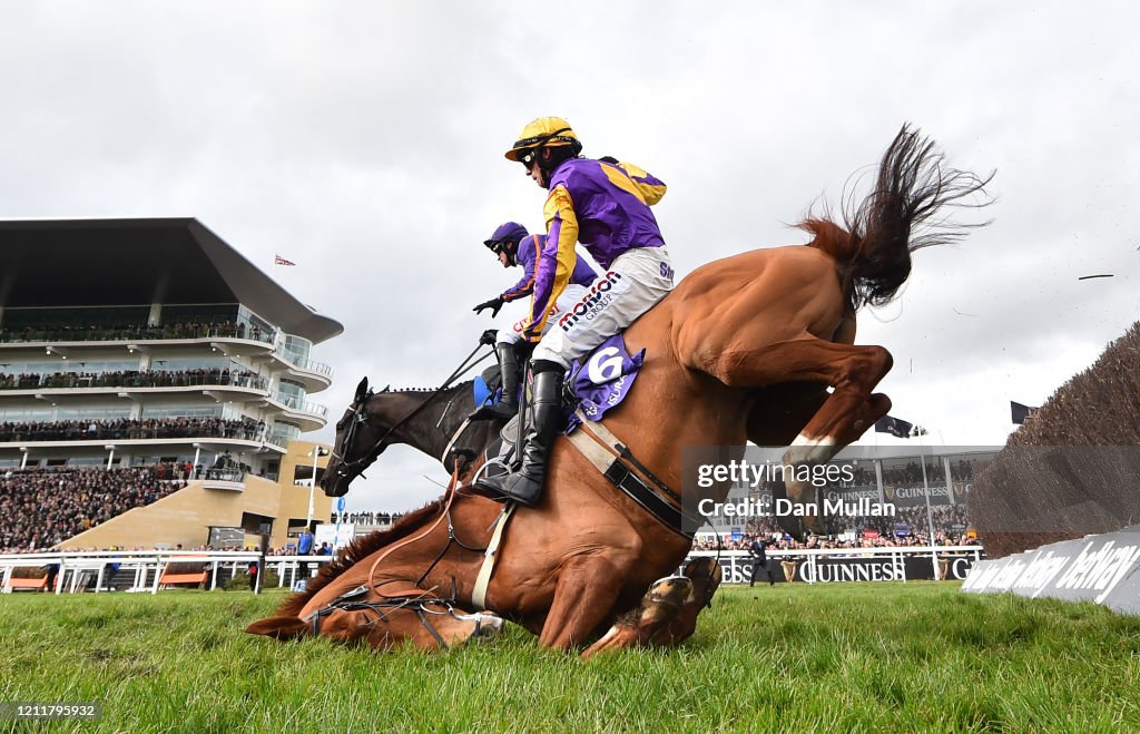 Cheltenham Festival 2020: Ladies Day