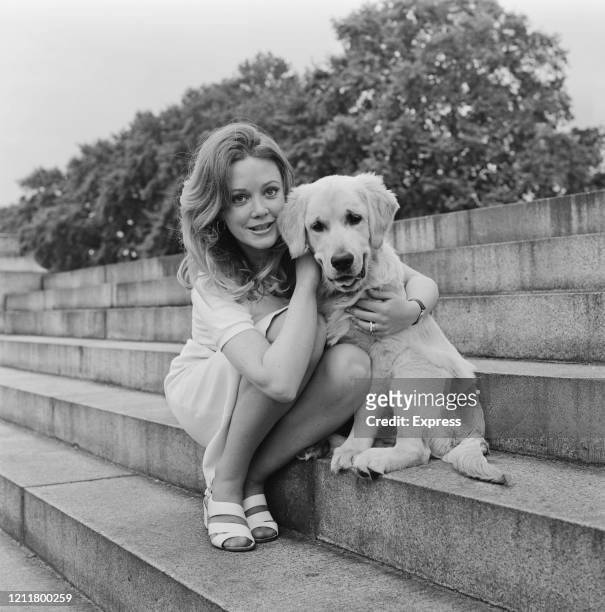 British actress Elaine Taylor poses with a retriever dog sitting on a flight of stone steps, 29th June 1972.