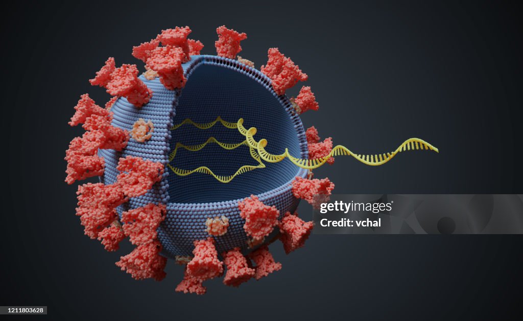 Virus met RNA molecule binnen. Virale genetica concept. 3D gerenderde illustratie.