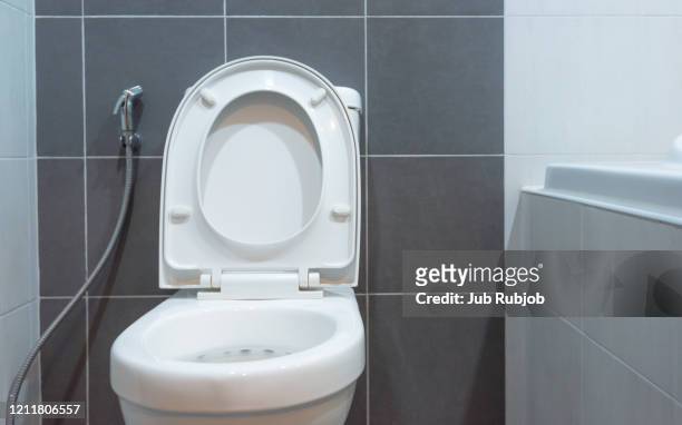 toilet bowl in modern bathroom - bathroom arrangement stock pictures, royalty-free photos & images