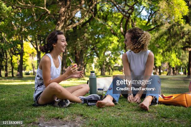 amigos latinos alegres bebiendo yerba mate y disfrutando de un día soleado juntos - yerba mate fotografías e imágenes de stock