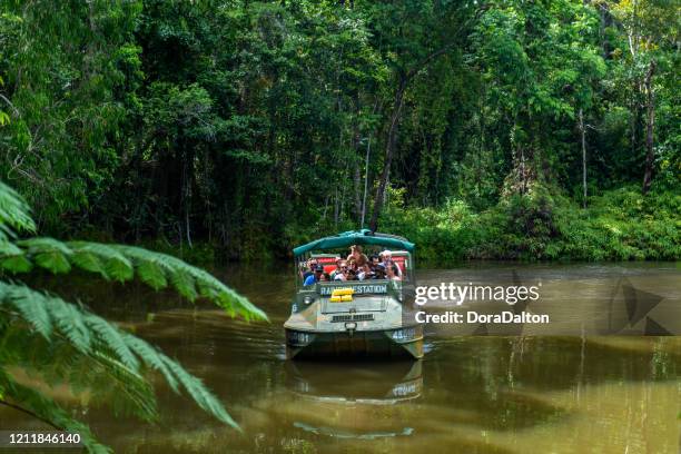 amphibious vehicle dukw drive in kuranda jungle, queensland, australia - amphibious vehicle stock pictures, royalty-free photos & images