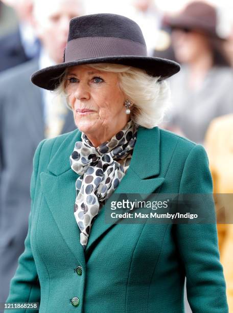 Camilla, Duchess of Cornwall attends day 2 'Ladies Day' of the Cheltenham Festival 2020 at Cheltenham Racecourse on March 11, 2020 in Cheltenham,...