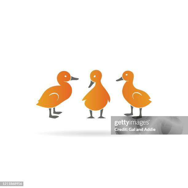 three ducklings - yellow duck stock illustrations