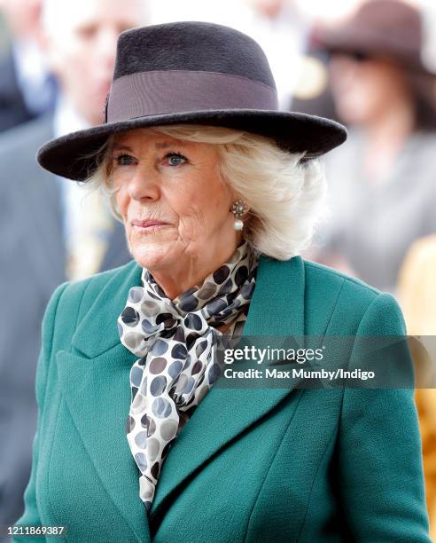 Camilla, Duchess of Cornwall attends day 2 'Ladies Day' of the Cheltenham Festival 2020 at Cheltenham Racecourse on March 11, 2020 in Cheltenham,...