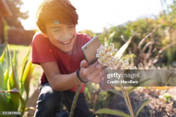 latinx pre-adolescent child cheerfully photographing plants in his garden with smartphone - handsome teen boy outdoors stock pictures, royalty-free photos & images