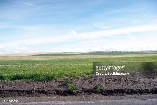roadside agricultural landscape scene - rural scene photos et images de collection