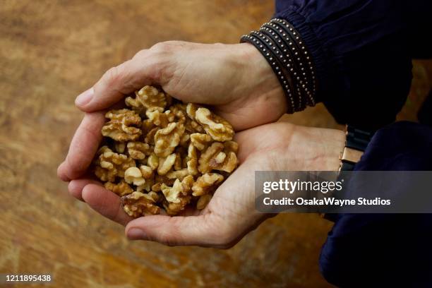 hands holding walnuts - nuez fotografías e imágenes de stock