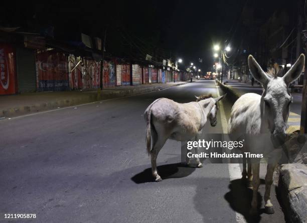 Ashok Rajpath Ashok Rajpath Photos and Premium High Res Pictures - Getty Images