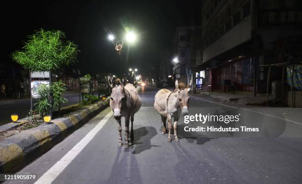 Ashok Rajpath 66 Ashok Rajpath Stock Photos, High-Res Pictures, and Images - Getty Images