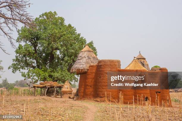 Tameri City 56 Tammari People Stock Photos, High-Res Pictures, and Images - Getty ...