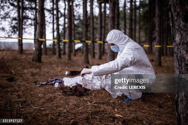 crime scene in the forest - homicidio fotografías e imágenes de stock