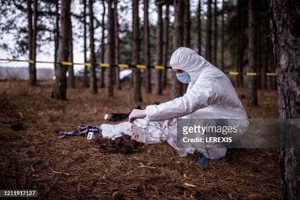 crime scene in the forest - murder photos photos et images de collection