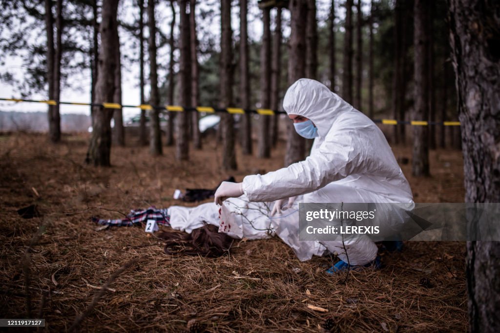 Crime scene in the forest