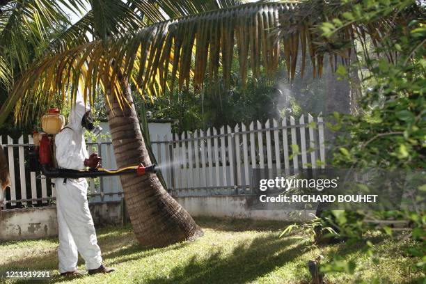 Une personne pulvérise un insecticide lors d'une campagne de démoustication organisée dans le quartier de la baie de Saint-Paul, le 23 avril 2010, à...