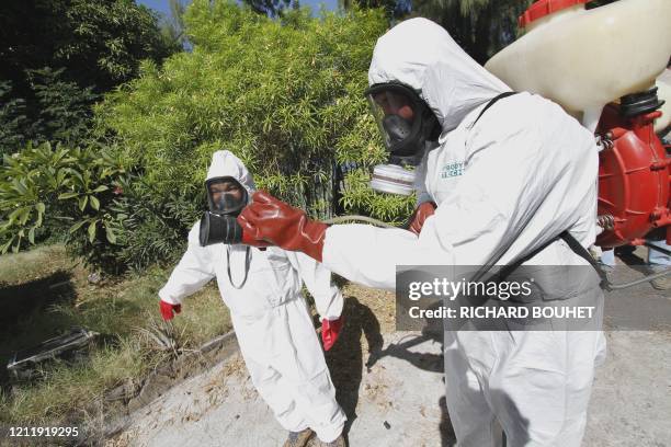 Des personnes pulvérisent un insecticide lors d'une campagne de démoustication organisée dans le quartier de la baie de Saint-Paul, le 23 avril 2010,...