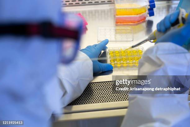 coronavirus,blood research,scientist's laboratory,research lab,analyzing a blood sample in test tube at laboratory with microscope. medical, pharmaceutical and scientific research and development concept. - amostra médica imagens e fotografias de stock