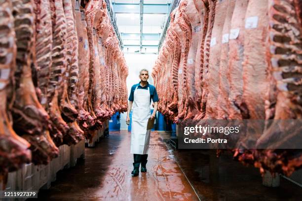 selbstbewusster männlicher metzger zu fuß in schlachthof - slaughterhouse stock-fotos und bilder