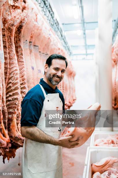 mature male butcher examining raw meat - butcher portrait imagens e fotografias de stock