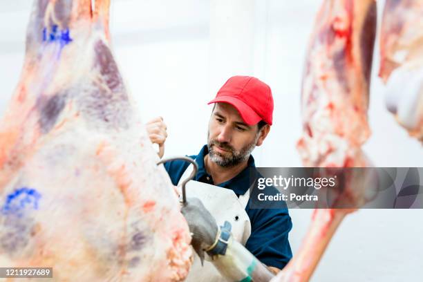 Butcher Getting Shot 832 Cutting Meat Factory Stock Photos, High-Res Pictures, and Images ...