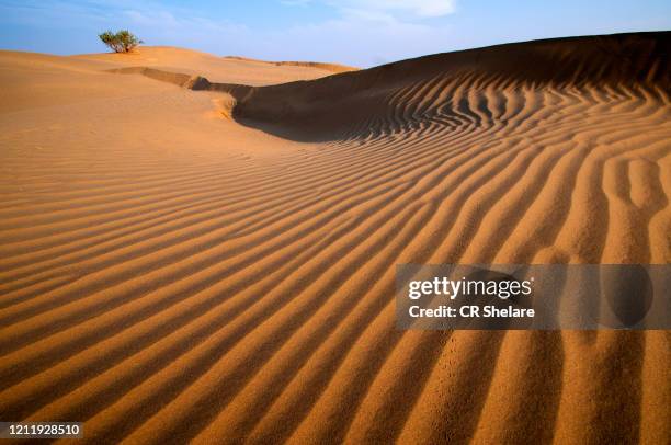 desert sand dunes ripples, abstract sand pattern background - sand pile stock pictures, royalty-free photos & images