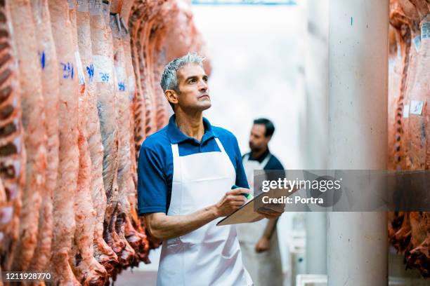 metzger erstellen qualitätsbericht im schlachthof - slaughterhouse stock-fotos und bilder