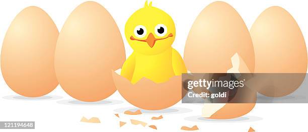 newhatched huhn - chicken decoration stock-grafiken, -clipart, -cartoons und -symbole