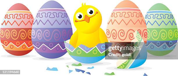 chicken in easter egg - broken easter egg stock illustrations