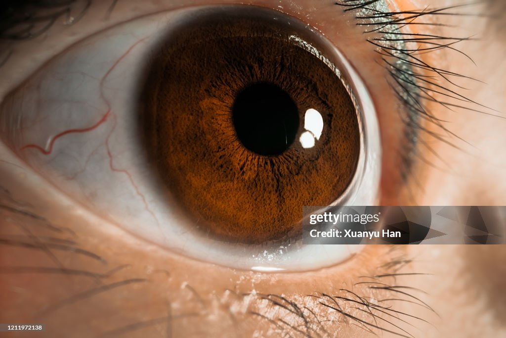 Macro shot of human eye