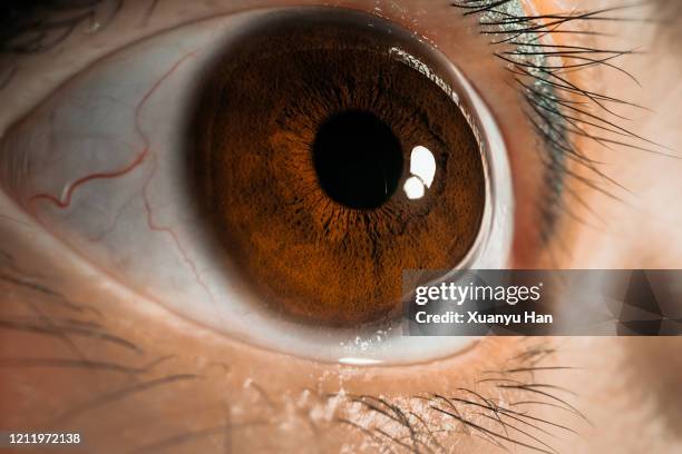 macro shot of human eye - brown eyes reflection stock pictures, royalty-free photos & images