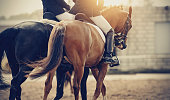 Two sports horses in the double bridle.The leg of the rider in the stirrup, riding on a horse
